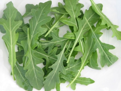 Kenmerken van rucola