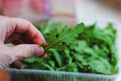 Rucola contra-indicaties en schade