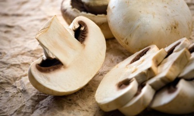 Les champignons sont riches en de nombreuses substances utiles à l'organisme.