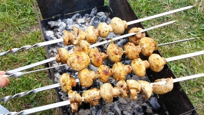  Champignons en brochettes