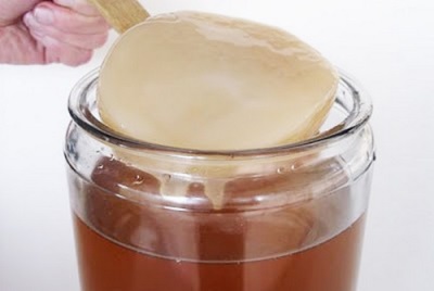 Kombucha mempunyai banyak manfaat kesihatan