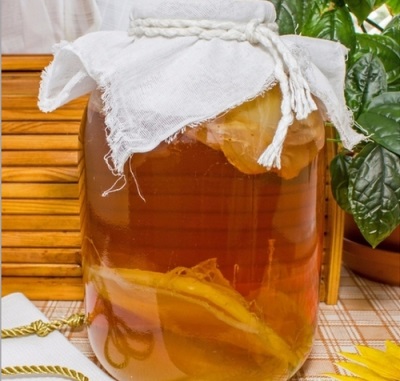 Kombucha berasal dari Tibet