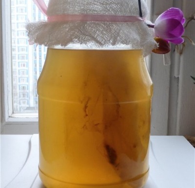 Kombucha-infusies worden gebruikt voor medicinale doeleinden