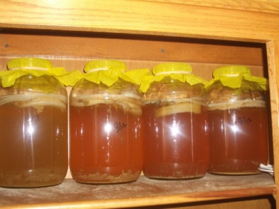 Penyimpanan kombucha