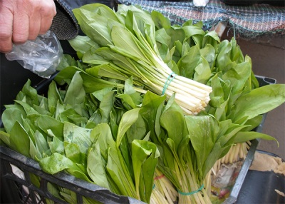 Ramson in de volksgeneeskunde