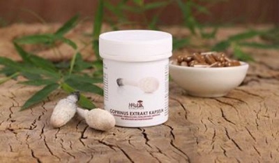 Đối với mục đích y tế, sử dụng chất chiết xuất hoặc bột của bọ phân