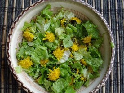 Lentesalade met klein hoefblad