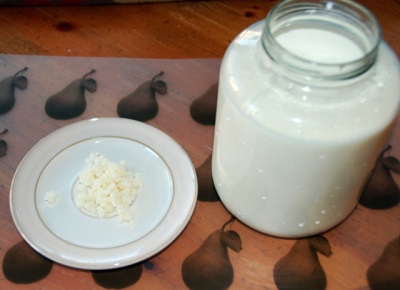 Kefir koken op melkpaddenstoel