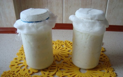 Proses membuat minuman daripada kulat susu