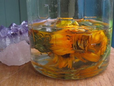 Ciri-ciri tincture calendula