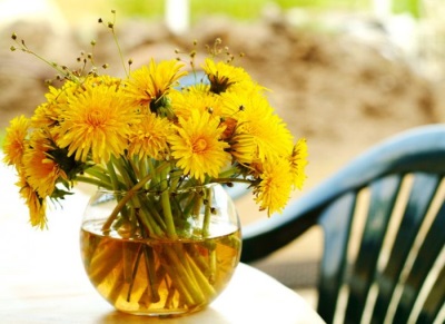 Teelt van paardenbloemen