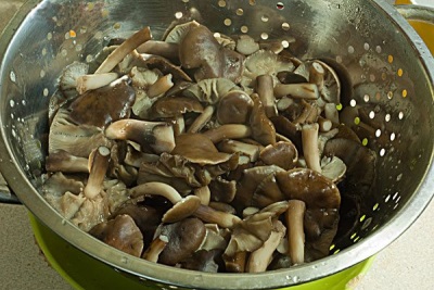 Gekookte champignons