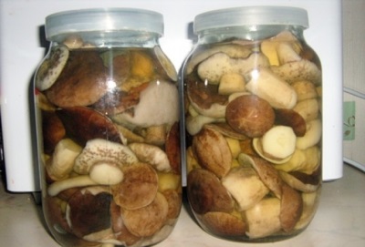 Boletus muối