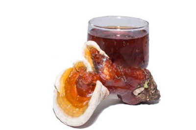 Reishi tincture pada wain