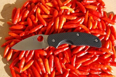 Tabasco-paprika's hebben veel gezondheidsvoordelen.