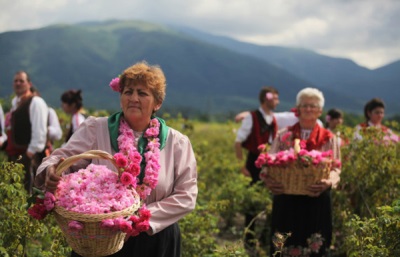 Rozenblaadjes plukken in Bulgarije